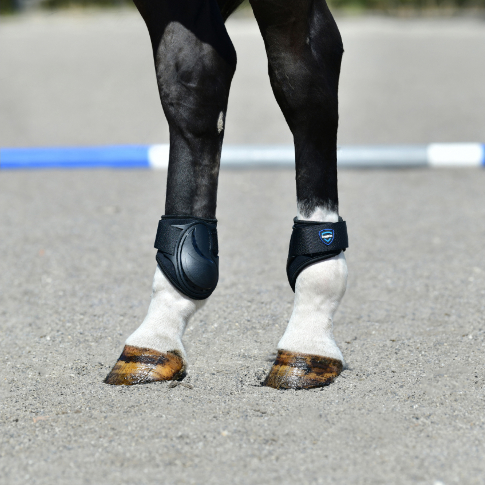 2025 Weatherbeeta Tough-Tec Essential Fetlock Boots 1027514 - Black